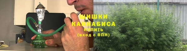 соль ск Алзамай