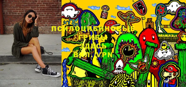 a pvp Протвино